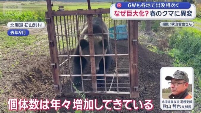 「個体数は年々増加」