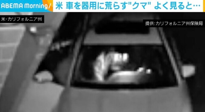 車に乗り込んでいる様子