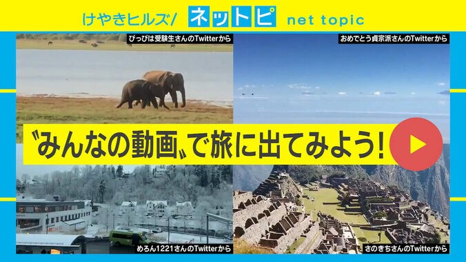 「新型コロナで気が滅入るから…」外出自粛でも“みんなの動画”で旅行！ 絶景投稿が続々 1枚目