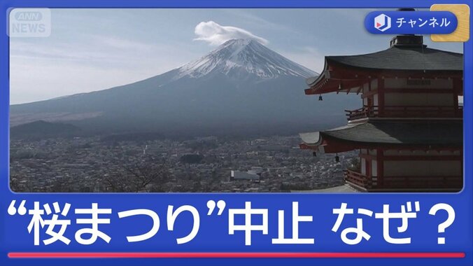 20万人来場「桜まつり」中止　“相次ぐ迷惑行為”　観光客のマナー問題の実態は？ 1枚目