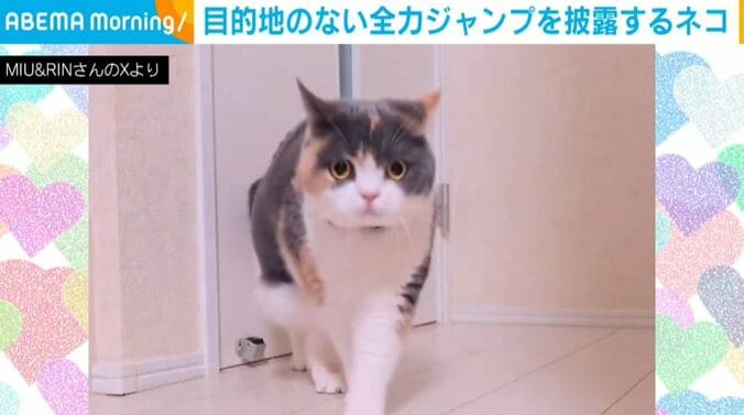 みゅーちゃん