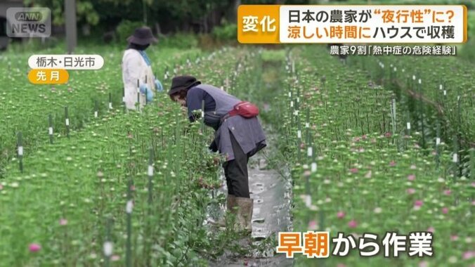 早朝から作業