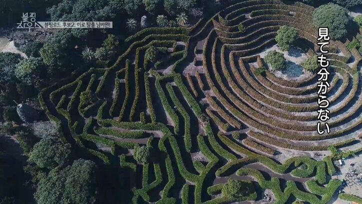 BLACKPINK、熱気球に大興奮！済州島での食べ歩き1泊2日旅を満喫