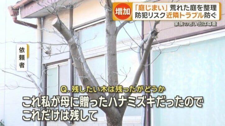 残したい木は残った