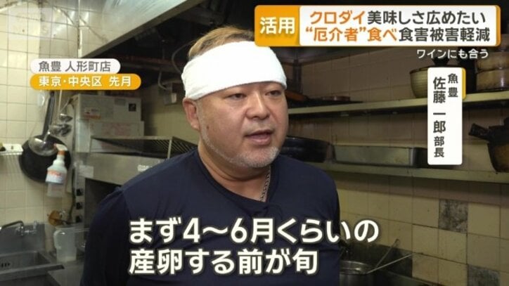「春と秋が旬に」