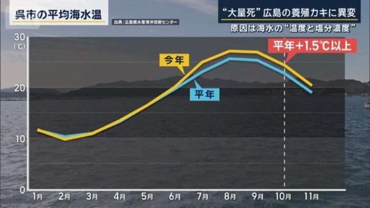 呉市の平均海水温