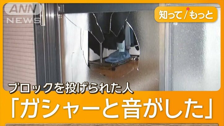 全裸男、約20件の事件・事故に関与か　ブロック投げつけも　逮捕までの1時間半