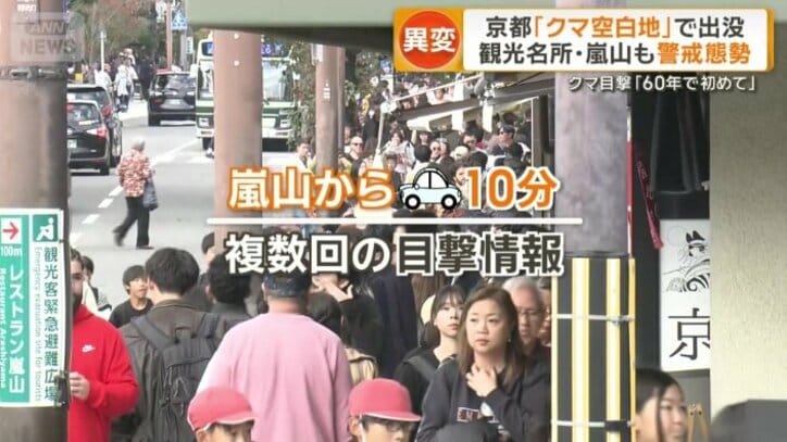 嵐山から車で10分ほどの場所で複数回の目撃情報