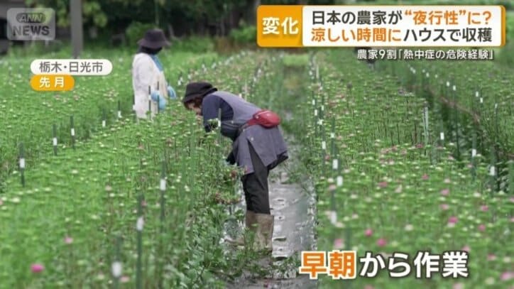 早朝から作業