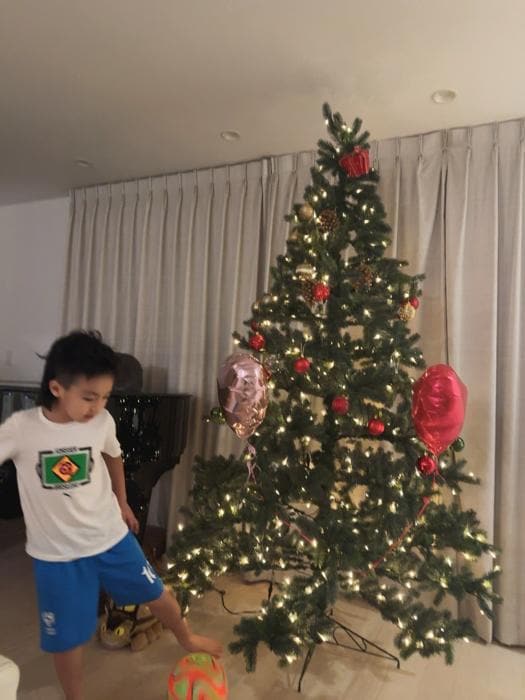 世界まる見え！テレビ特捜部で紹介！】クリスマス ツリー 卓上