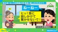 「急に話しかけないで」耳が遠くなった母を気遣ったはずが…娘への“衝撃的な一言”に「ほっこりし過ぎて良い」と反響