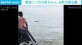「助けよう助けよう！」濁流に流された生後数日の子ゾウ… 漁師たちがボートで緊急救出→“母子再会”を果たした感動の一部始終 インド