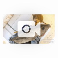 辻希美『太陽ｖｓマグロとカツオ‼︎』