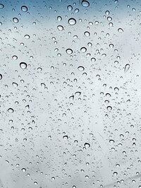 北斗晶『挙げた日』