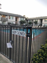 野沢直子『悪くないかな』