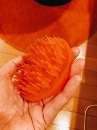 鈴木蘭々『湯シャンのススメ』