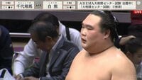 【映像】“熊”のような鋭さで“馬”に勝利した取組