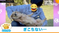 【映像】内弁慶の犬に歩み寄った“結果”