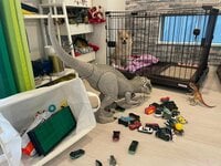 ココリコ遠藤嫁『ついに』