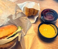 高橋真麻『朝からついていない』