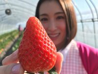 雛形あきこ『ヒルナンデス』