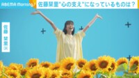 【映像】ひまわり畑に佇む佐藤栞里