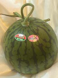 森口博子『こんな事って起こる?』