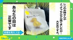 「めっちゃ笑った」バッグに描かれた“みにくいアヒルの子”に「発想が天才すぎる」の声