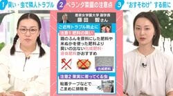 「肥料の臭い、洗濯物に土や水が…」お裾分けも実は迷惑？家庭菜園ブームの裏で起きる“ご近所トラブル”の注意点を専門家が指摘