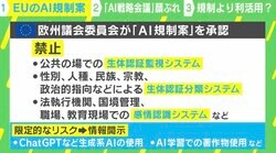 欧州＝規制、日本＝利活用 「AIとの付き合い方」どっちが正解？