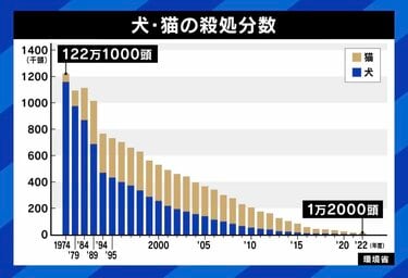 ペット 安い 販売 問題点