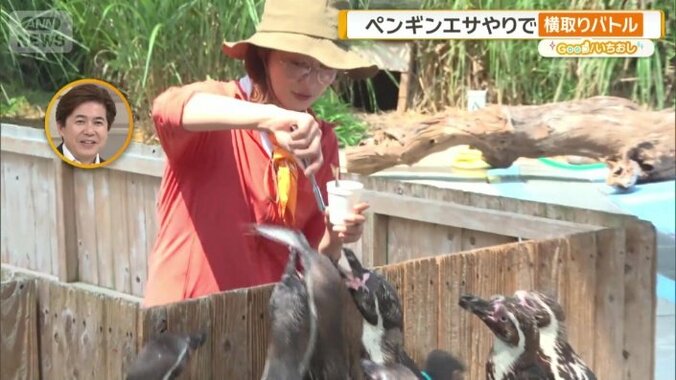 餌やり体験もできる