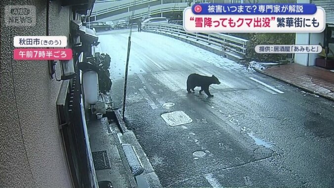 飲食店に設置された防犯カメラ