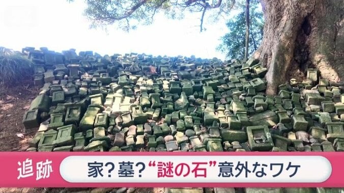 奇妙な形をした石