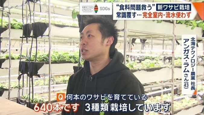 北海道テクノロジー農業　社長　アンガス・ラムさん