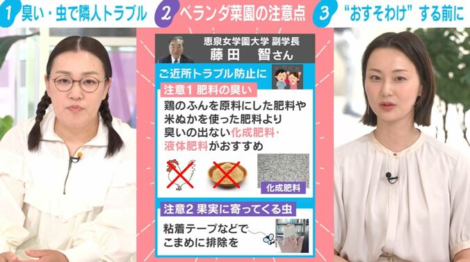 恵泉女学園大学副学長の藤田智氏の見解