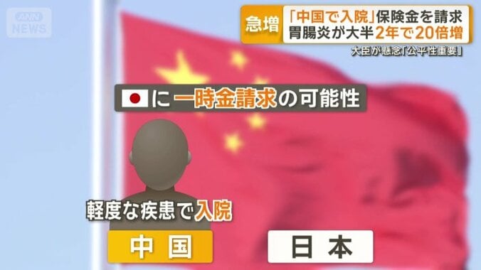 軽度な疾患で入院し一時金を請求している可能性