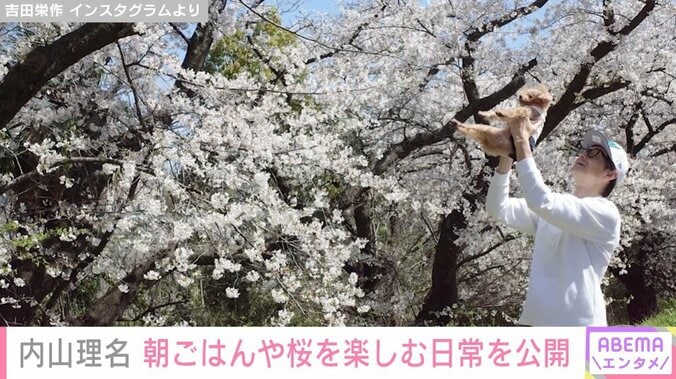内山理名、家族で花見へ行った写真