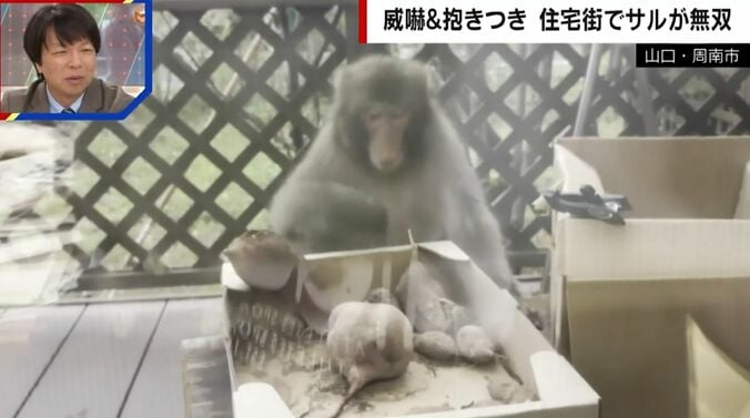 山口県・周南市