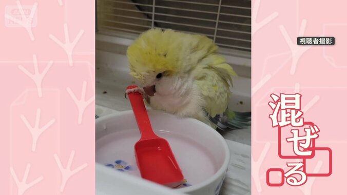 スプーンで混ぜる