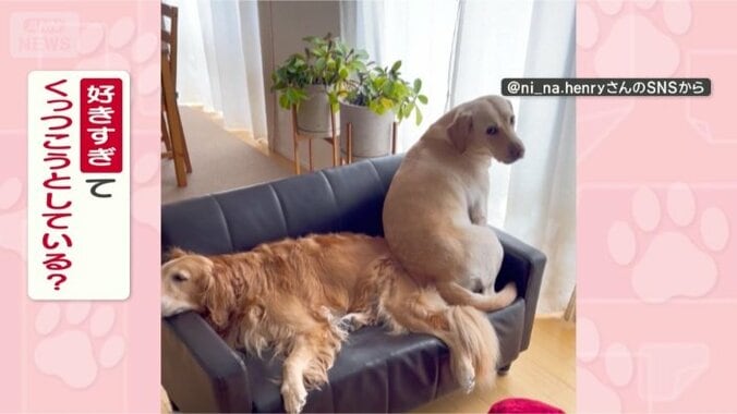 どうしてくっつきたいの？