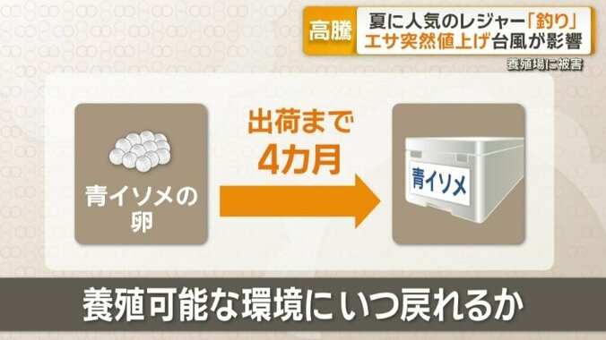 養殖可能な環境にいつ戻れるか
