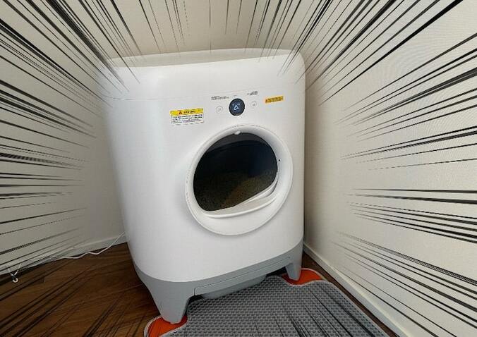  あいのり・桃の夫、猫用自動トイレを購入「色々な機能がある」  1枚目