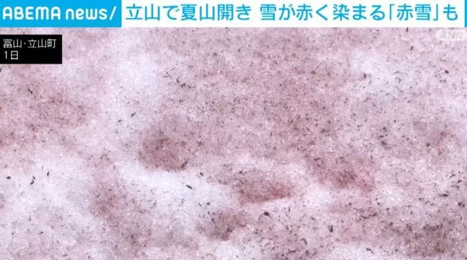 「赤雪」