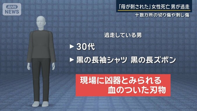 逃走している男