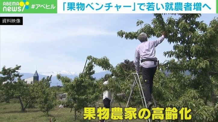 日本のフルーツが食べられなくなるかもしれない 果物農業の危機を救え!元アップル社員が革命を目指す