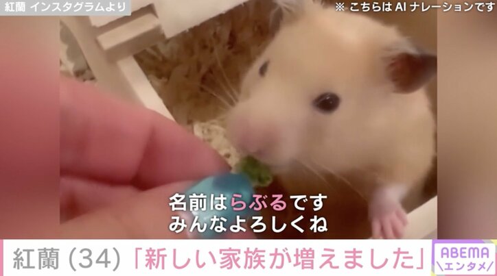 紅蘭Instagramより