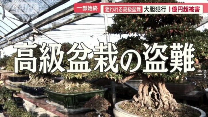 相次ぐ高級盆栽の盗難