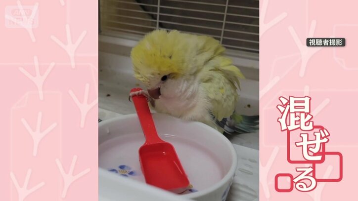 スプーンで混ぜる