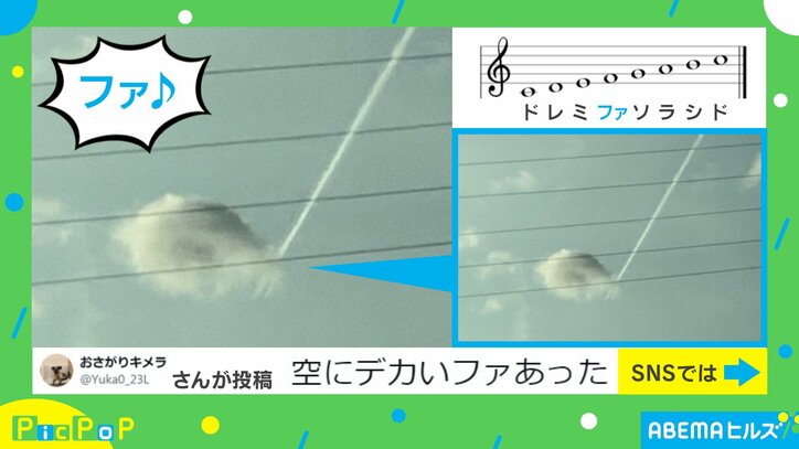 【写真・画像】　2枚目